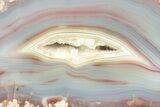 Colorful, Polished Patagonia Agate - Highly Fluorescent! #214910-2